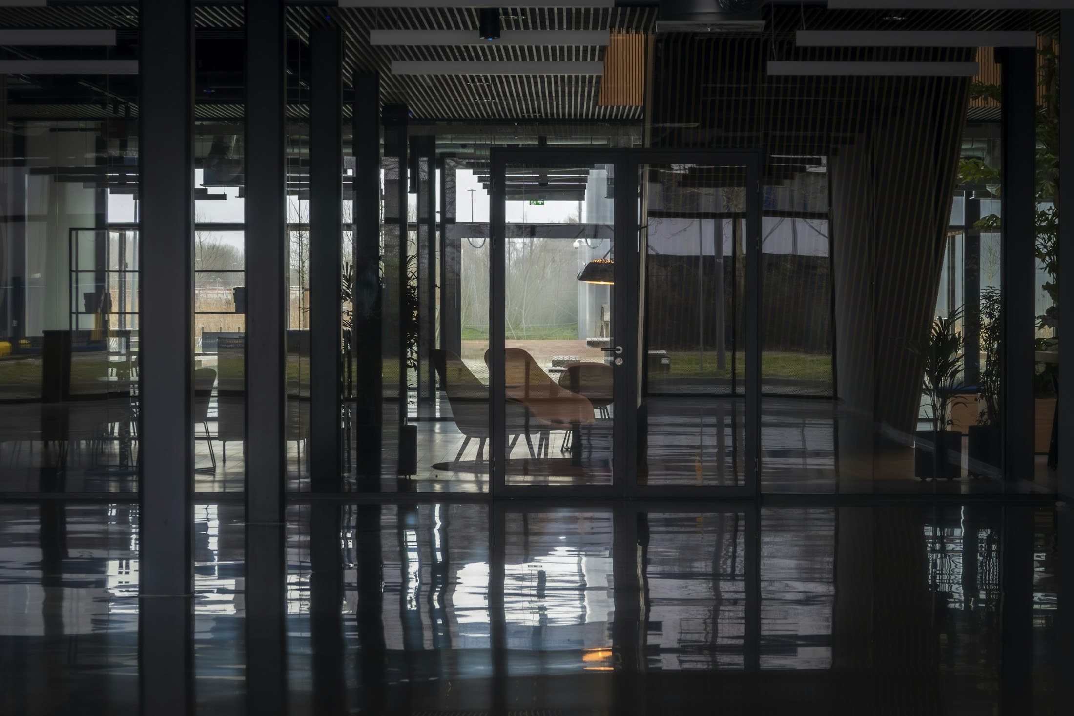 Glass office partitions beneath a dark ceiling with reflected light.