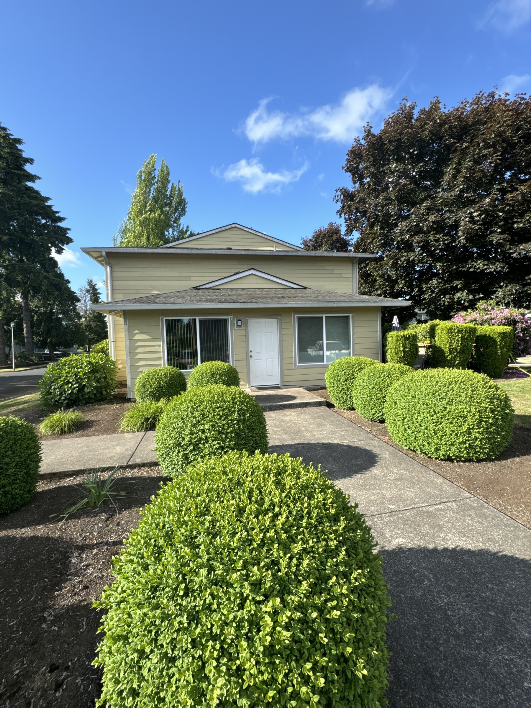 Commercial building with yellow siding, white trim and a landscaped entry path