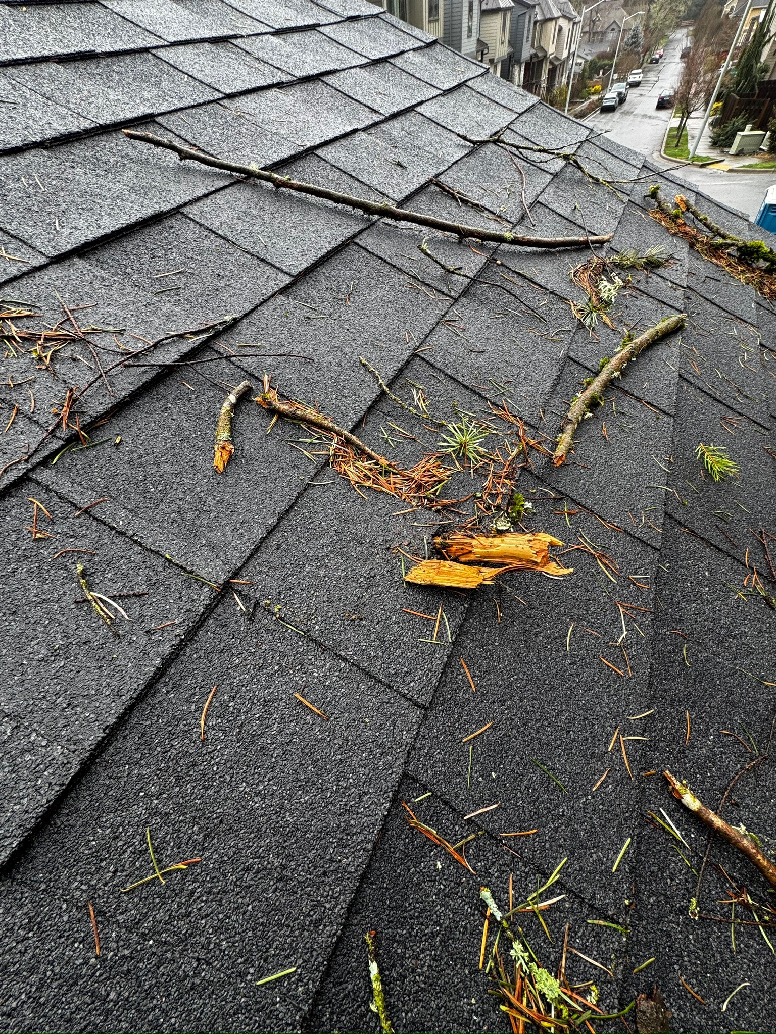 Broken branches and debris on an asphalt-shingle roof during condition documentation.